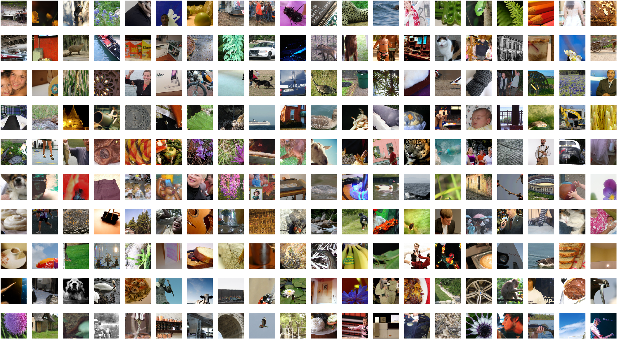 Image Augmentation