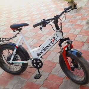 Top-Performing Electric Bicycle - #1 in Convenience